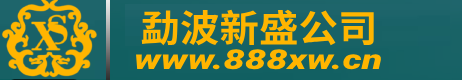 新盛集团公司游戏网址